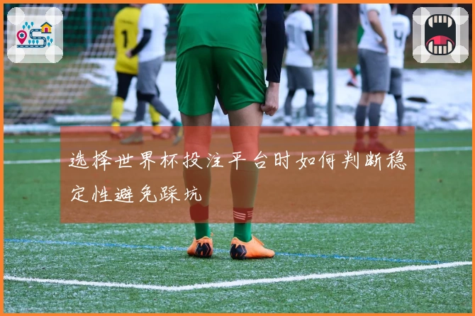 选择世界杯投注平台时如何判断稳定性避免踩坑