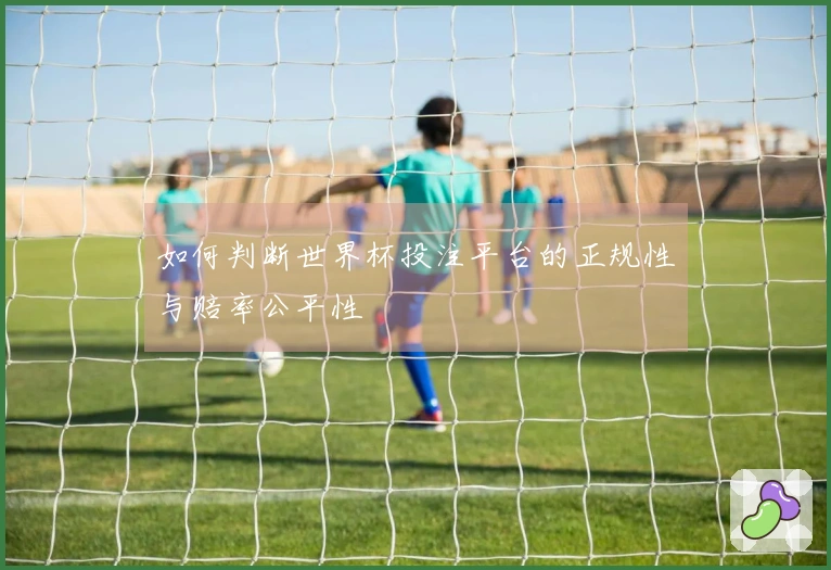 如何判断世界杯投注平台的正规性与赔率公平性