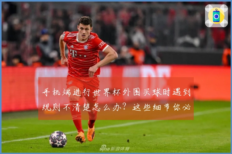 手机端进行世界杯外围买球时遇到规则不清楚怎么办？这些细节你必须搞懂