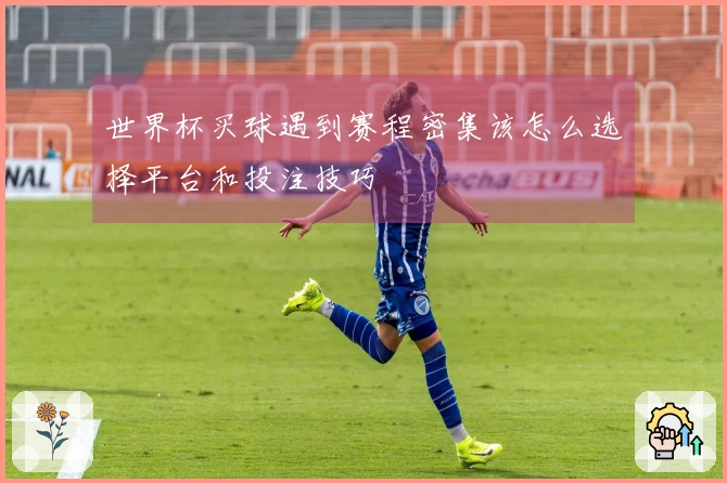 世界杯买球遇到赛程密集该怎么选择平台和投注技巧