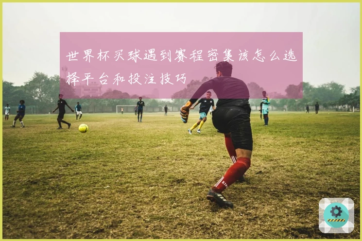 世界杯买球遇到赛程密集该怎么选择平台和投注技巧