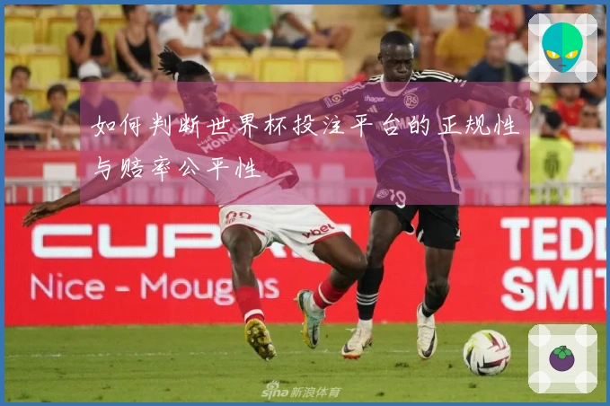如何判断世界杯投注平台的正规性与赔率公平性