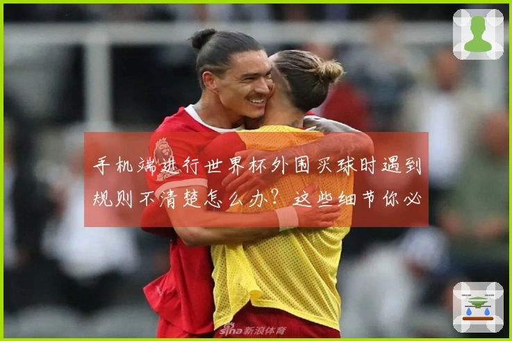手机端进行世界杯外围买球时遇到规则不清楚怎么办？这些细节你必须搞懂